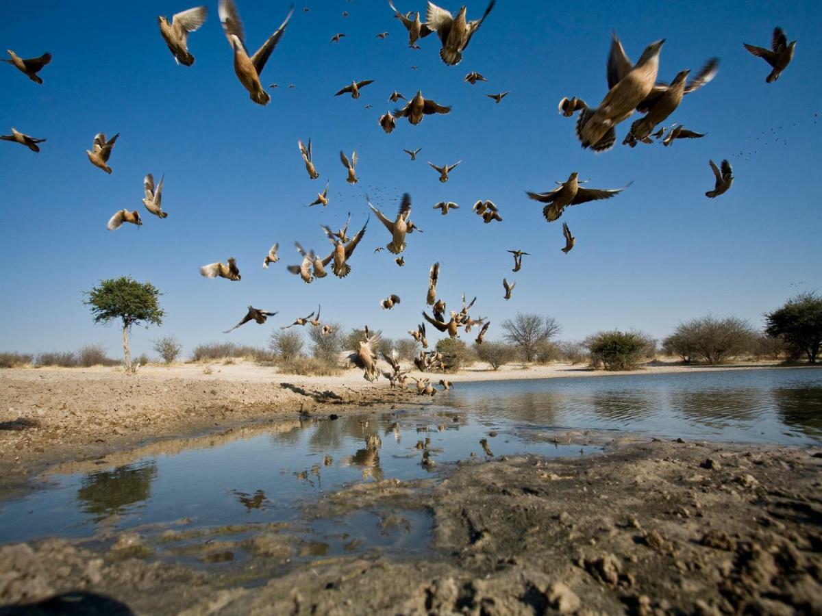 Grassland Safari Lodge Ghanzi Екстериор снимка